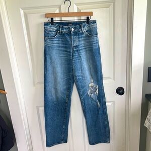 Express Relaxed Straight Low Rise Jeans Distressed